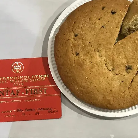 Rheolau Arms-2